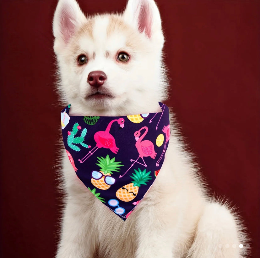 Dog bandana pack of 8 with flamingo and fruit prints. random