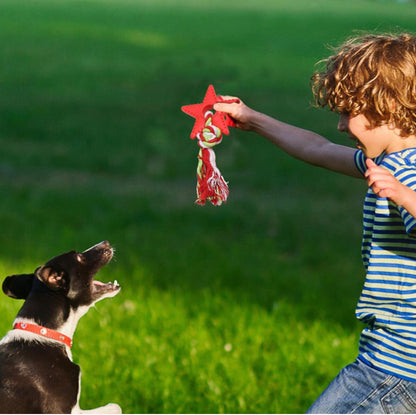 Puppy chew toy Grinding-Resistant with rope. Non toxic and natural materials