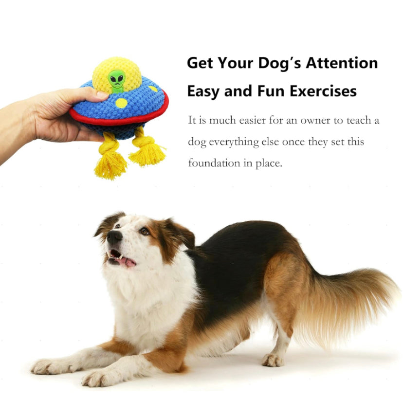 Zog the Extraterrestrial squeaky plush interactive dog toy. Cute and durable Luxury UFO.