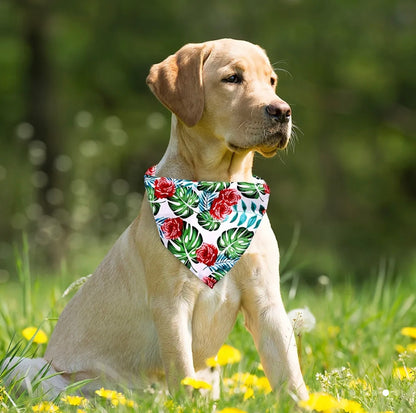 Dog bandana pack of 8 with flamingo and fruit prints. random