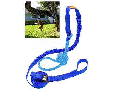 Fenidog Outdoor and Indoor Bungee Hanging Dog Toy, Interactive Tether Tug Toy for Pitbull & Small to Large Dogs, Ideal for Exercise & Solo Play, Play Tug War, Extra Durable & Safe (Medium)