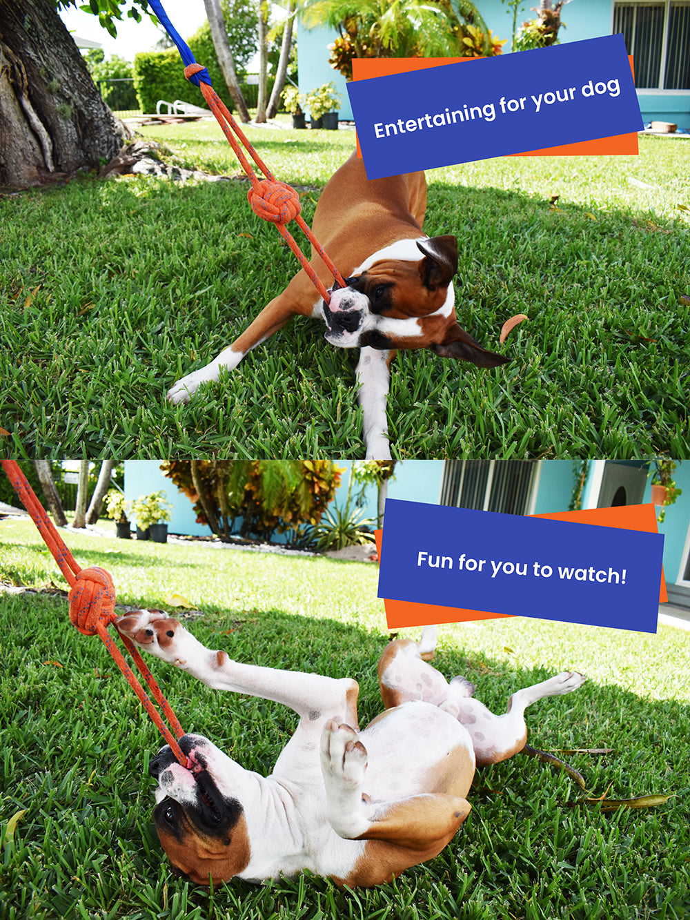 Fenidog Outdoor Bungee Hanging Dog Toy. Extra Durable & Safe with 2 Chew Rope Toys.