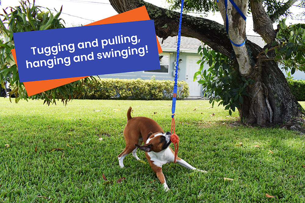 Fenidog Outdoor Bungee Hanging Dog Toy. Extra Durable & Safe with 2 Chew Rope Toys.