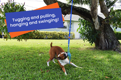 Fenidog Outdoor and Indoor Bungee Hanging Dog Toy, Interactive Tether Tug Toy for Pitbull & Small to Large Dogs, Ideal for Exercise & Solo Play, Play Tug War, Extra Durable & Safe (Medium)