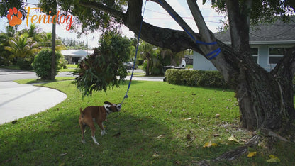 Fenidog Outdoor Bungee Hanging Dog Toy. Extra Durable & Safe with 2 Chew Rope Toys.